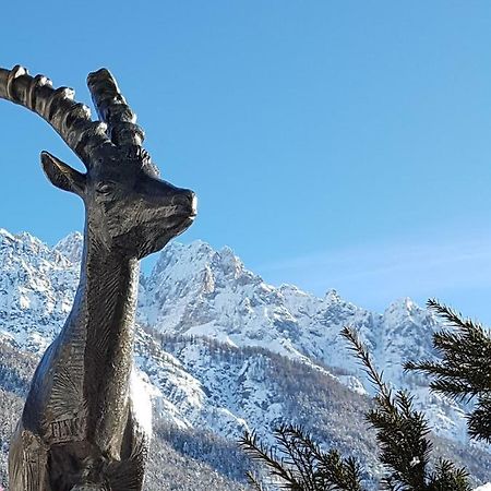 Appartamento Nigritella Kranjska Gora Esterno foto