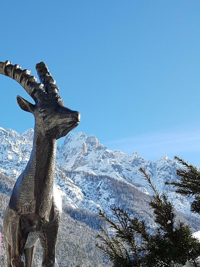 Appartamento Nigritella Kranjska Gora Esterno foto