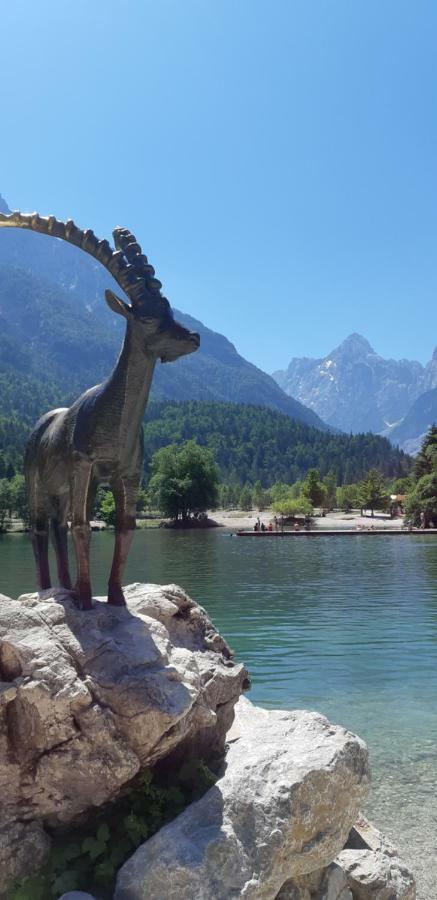 Appartamento Nigritella Kranjska Gora Esterno foto