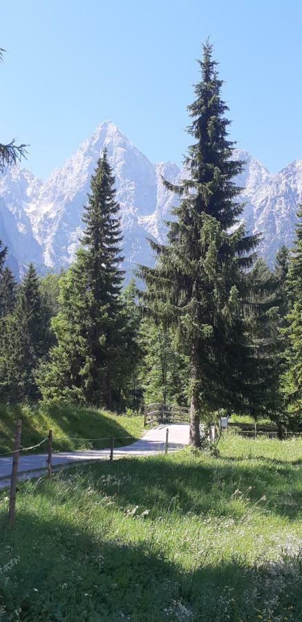 Appartamento Nigritella Kranjska Gora Esterno foto